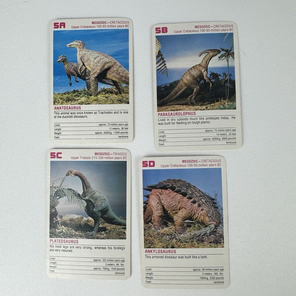 Vintage FX Schmid Animal Rummy Card Game Dinosaurs Prehistoric Animals COMPLETE - Picture 13 of 16
